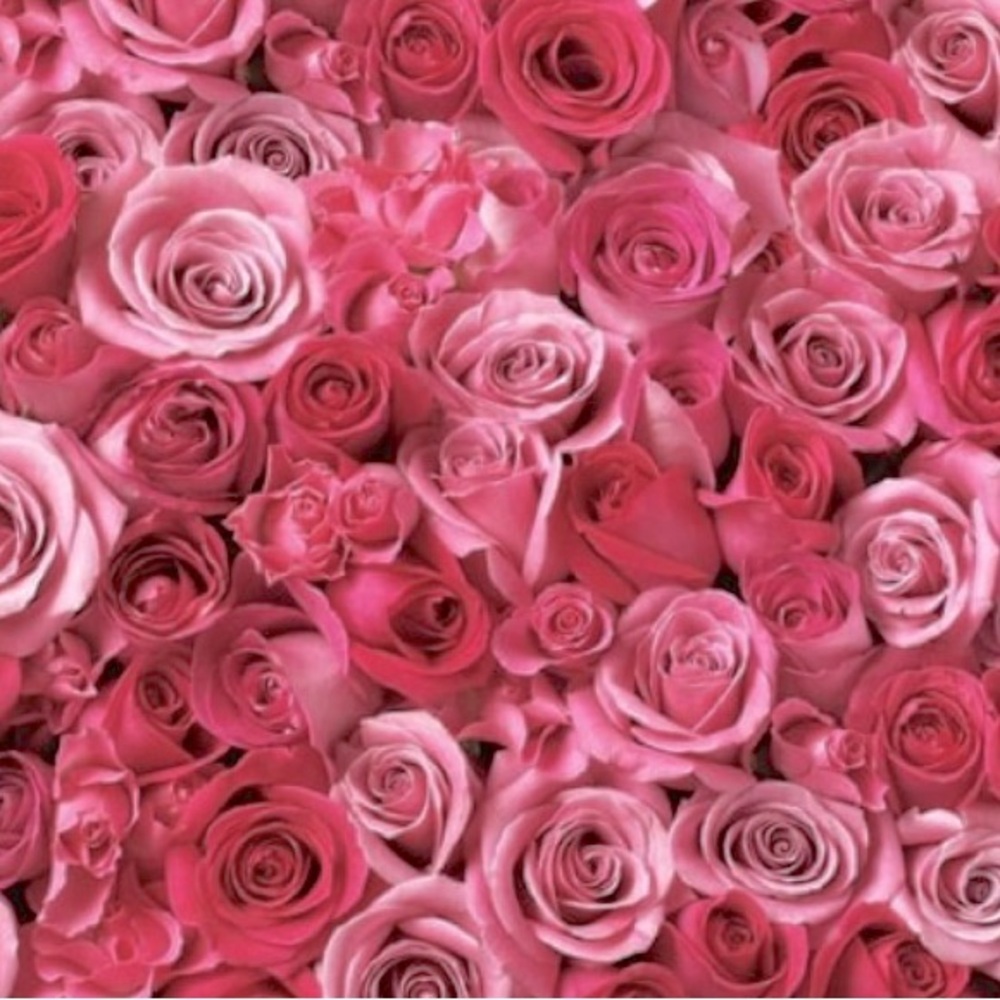 Meet your Posher, Harmony